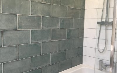 Bathroom in the Attic