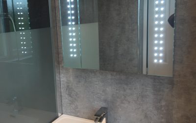 Bathroom Renovation with Panels
