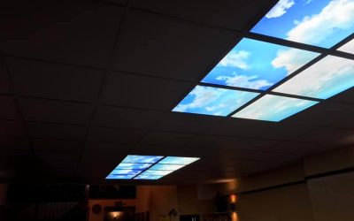 Suspended Ceiling with Led Lights