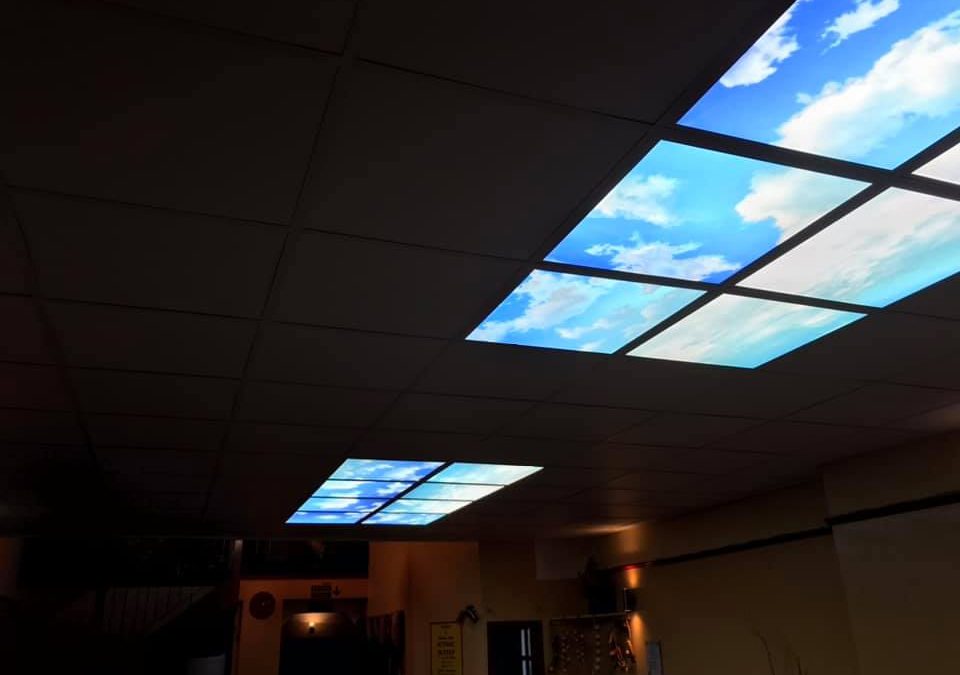 Suspended Ceiling with Led Lights