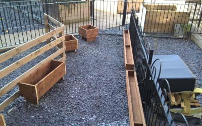 Transformation of the Small Garden .