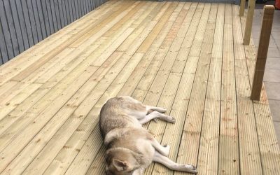 Another Beautiful Patio