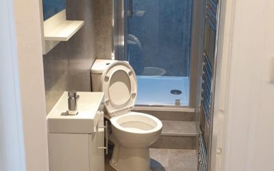 Tiny 2.5 meters Bathroom Renovation