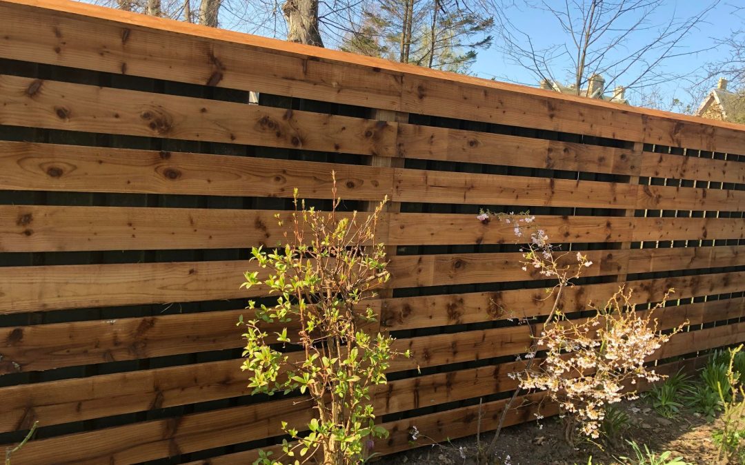 Solid Wooden Fence