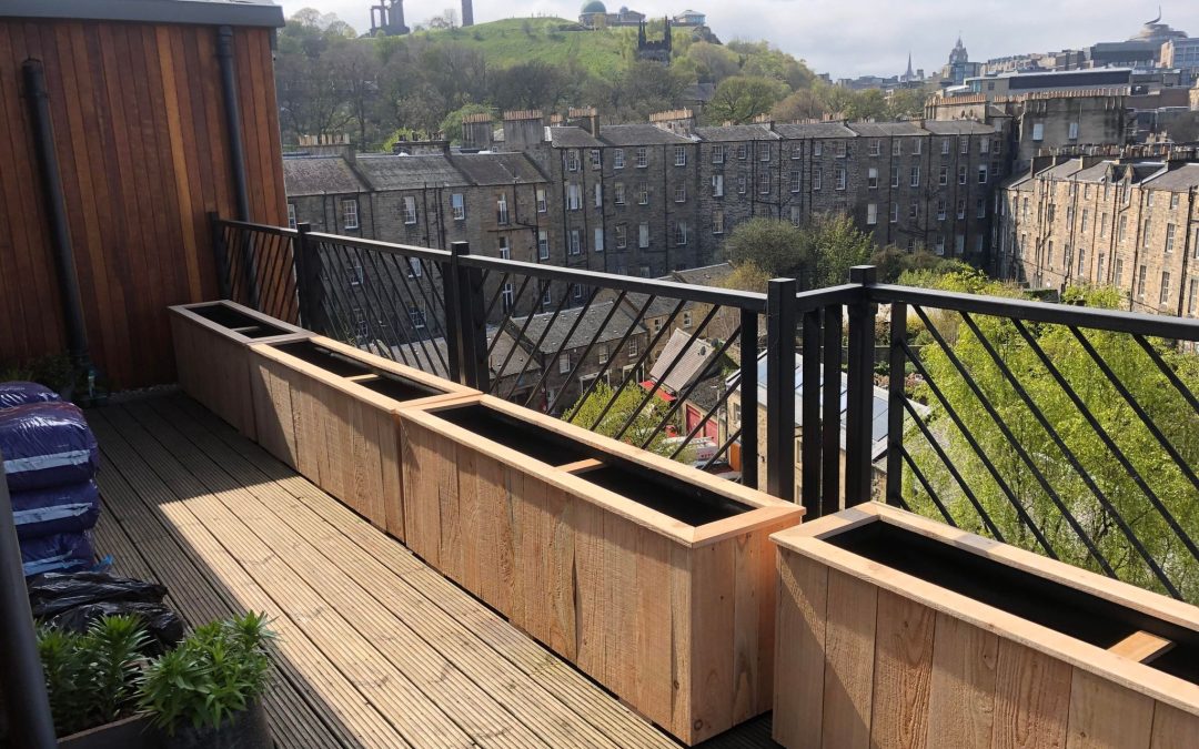 Six Large Larch Flower Pots