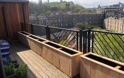 Six Large Larch Flower Pots