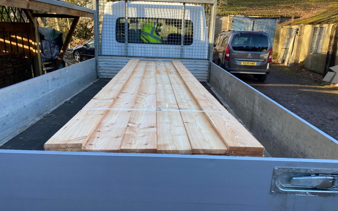 High Quality Pine and Larch Timber for Sale