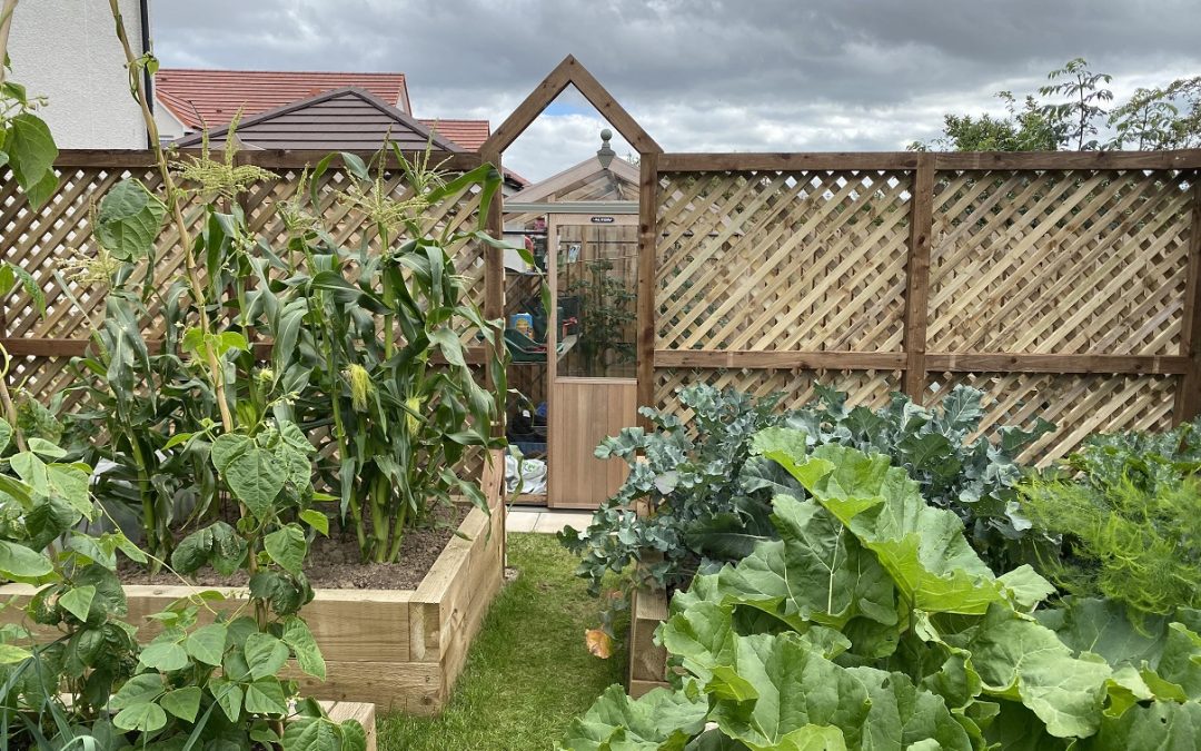 Garden Pergola: Embrace Eco-Friendly Elegance