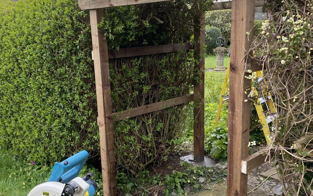 Transforming Outdoor Spaces: Pine Shed and Pergola