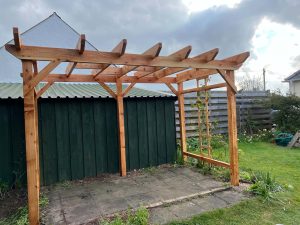 Larch Pergola