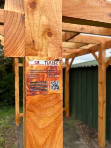 Larch Pergola