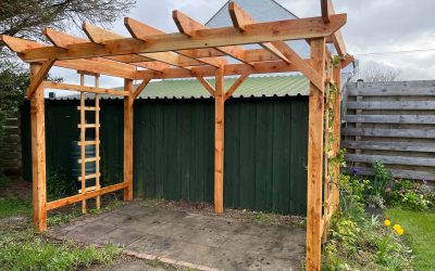 Custom Larch Pergola – A Beautiful Garden Upgrade