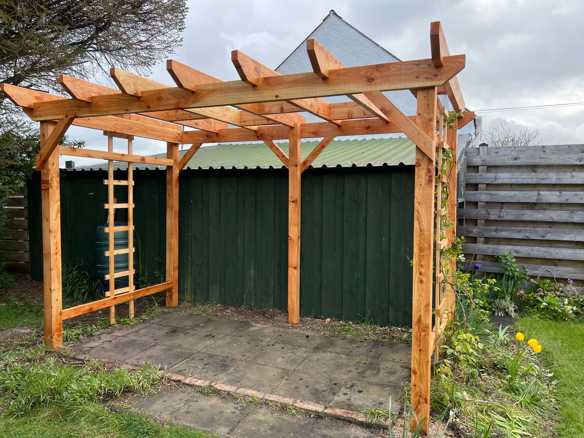 Larch Pergola